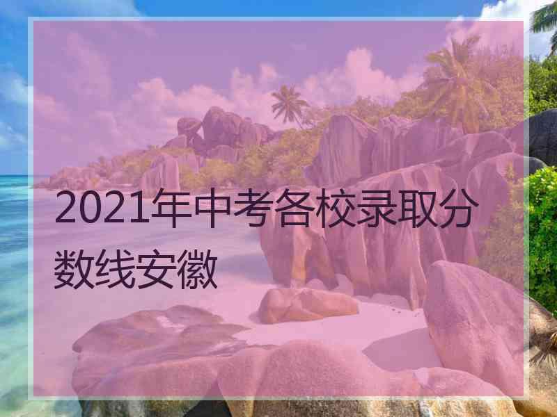 2021年中考各校录取分数线安徽