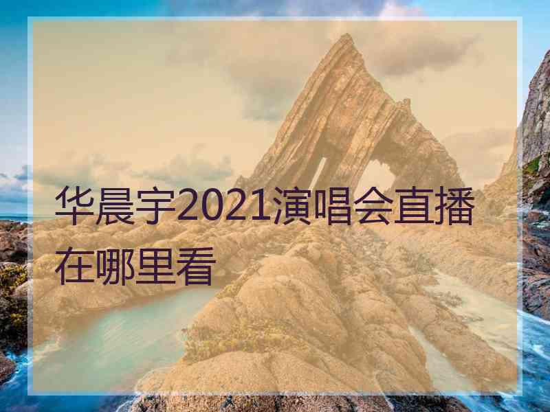 华晨宇2021演唱会直播在哪里看