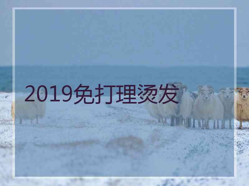 2019免打理烫发