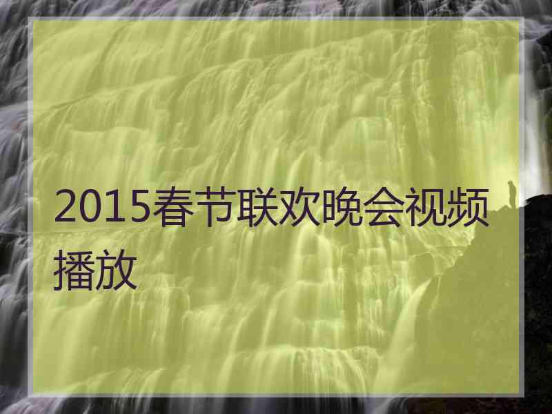 2015春节联欢晚会视频播放