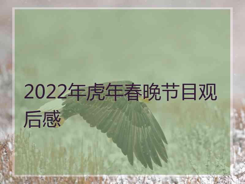 2022年虎年春晚节目观后感