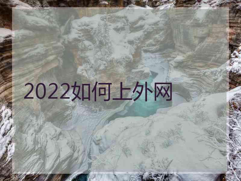 2022如何上外网