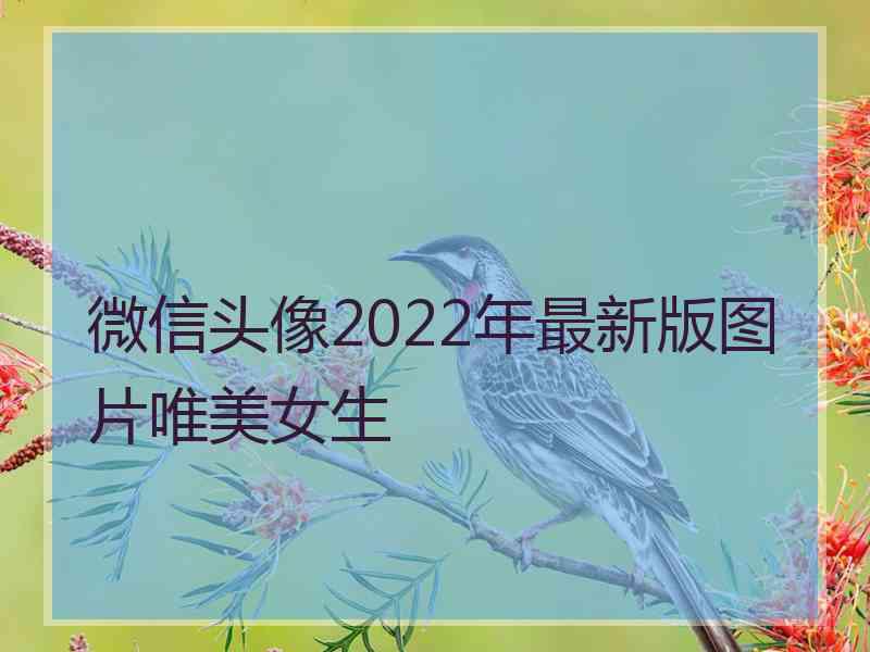 微信头像2022年最新版图片唯美女生