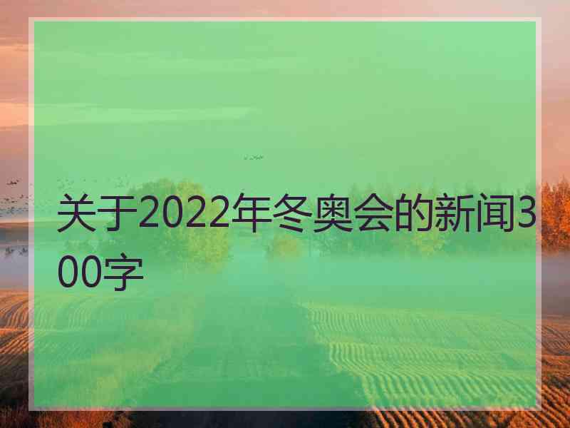 关于2022年冬奥会的新闻300字