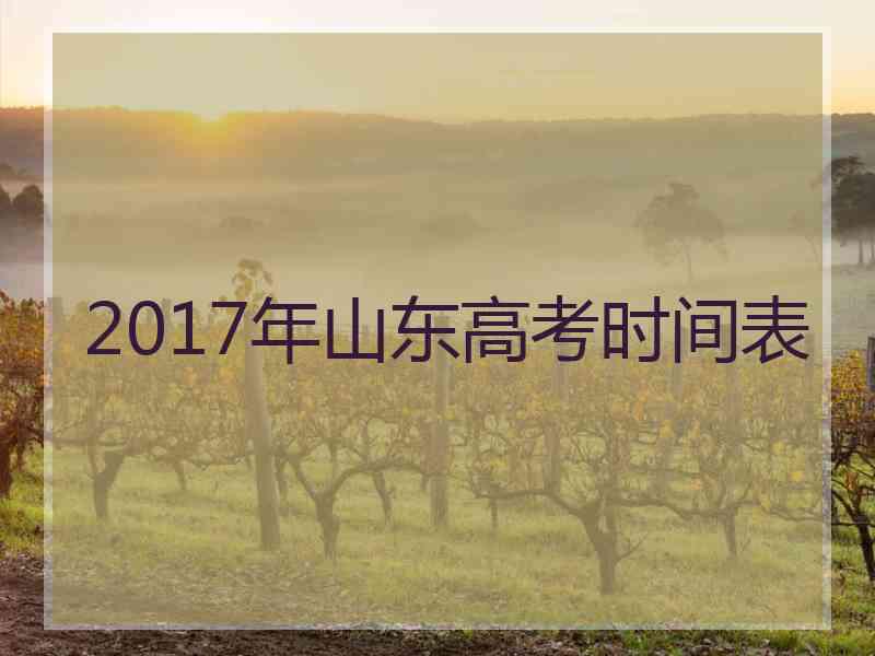 2017年山东高考时间表