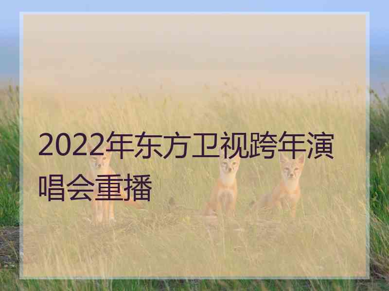 2022年东方卫视跨年演唱会重播