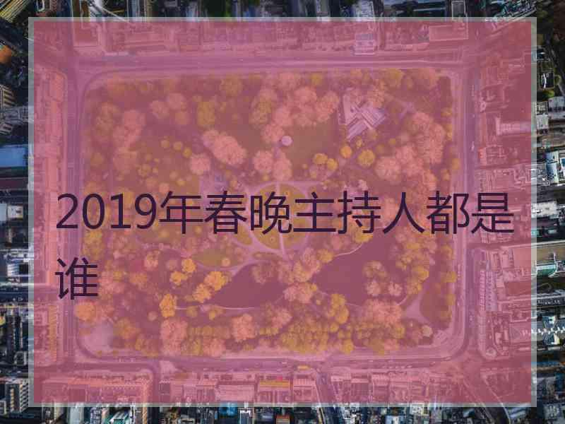 2019年春晚主持人都是谁