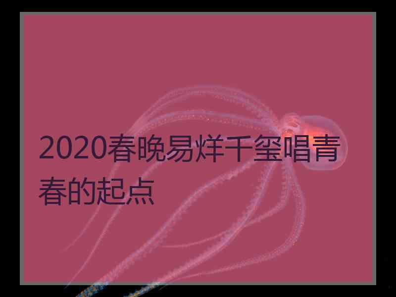 2020春晚易烊千玺唱青春的起点