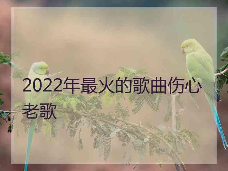 2022年最火的歌曲伤心老歌