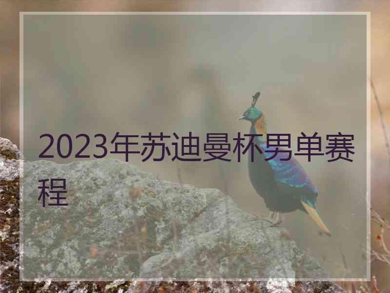 2023年苏迪曼杯男单赛程