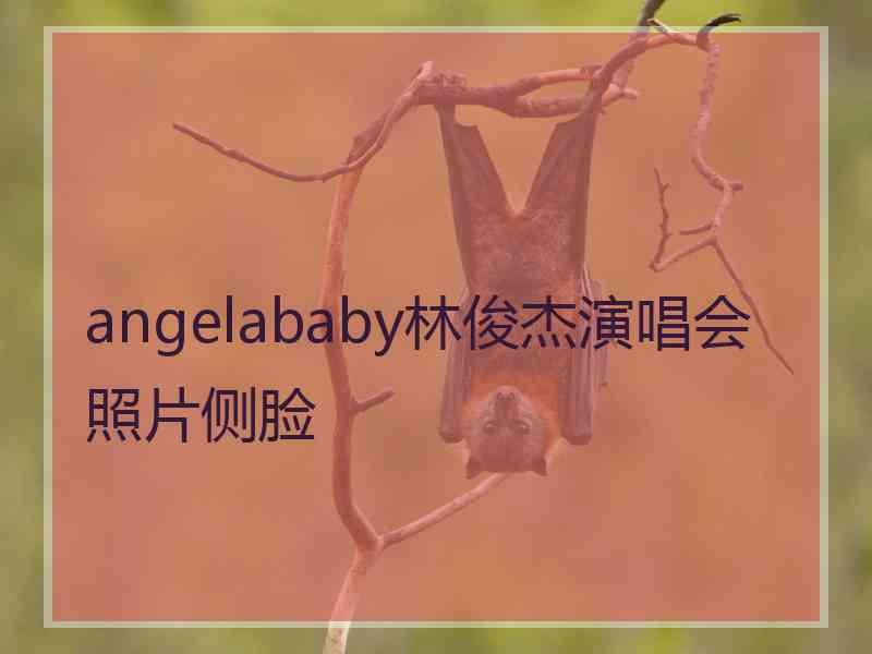 angelababy林俊杰演唱会照片侧脸