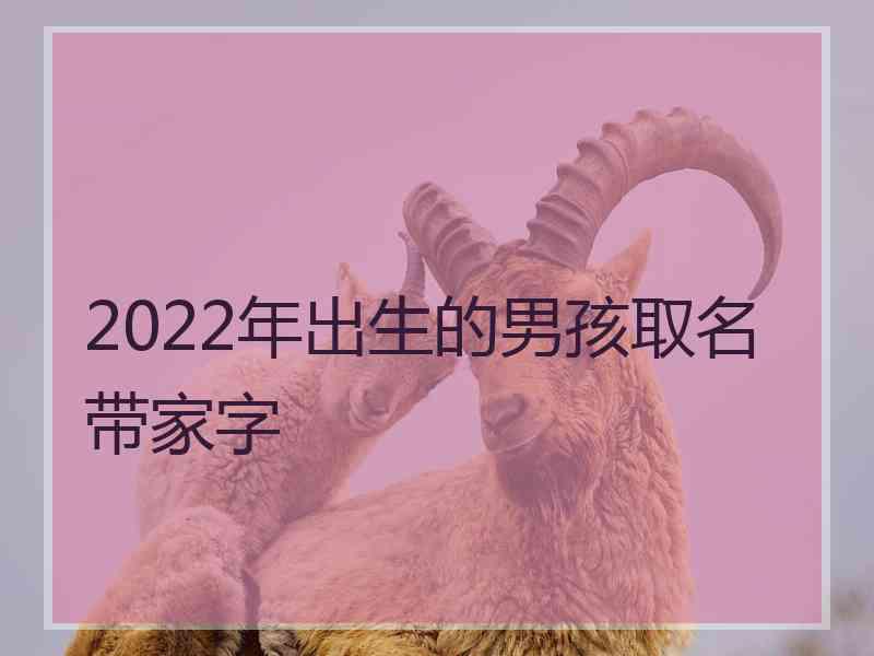 2022年出生的男孩取名带家字