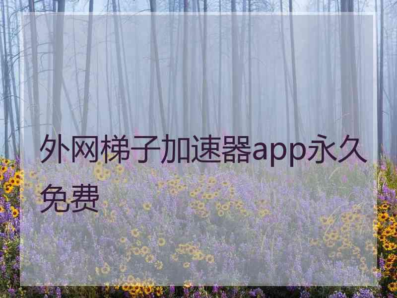 外网梯子加速器app永久免费