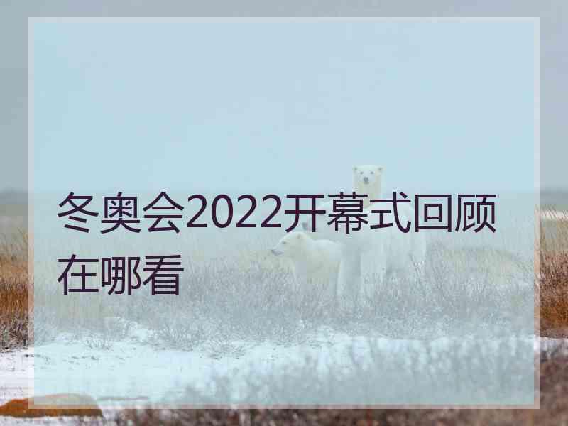 冬奥会2022开幕式回顾在哪看