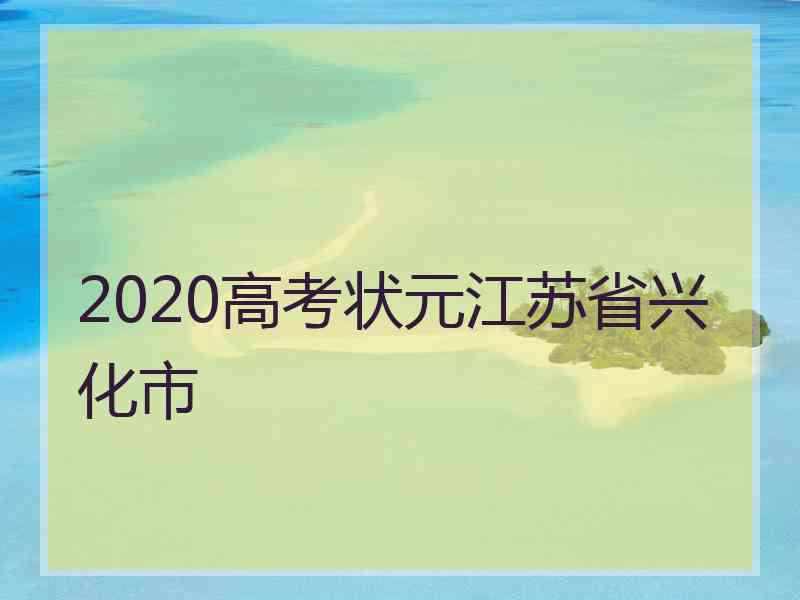 2020高考状元江苏省兴化市