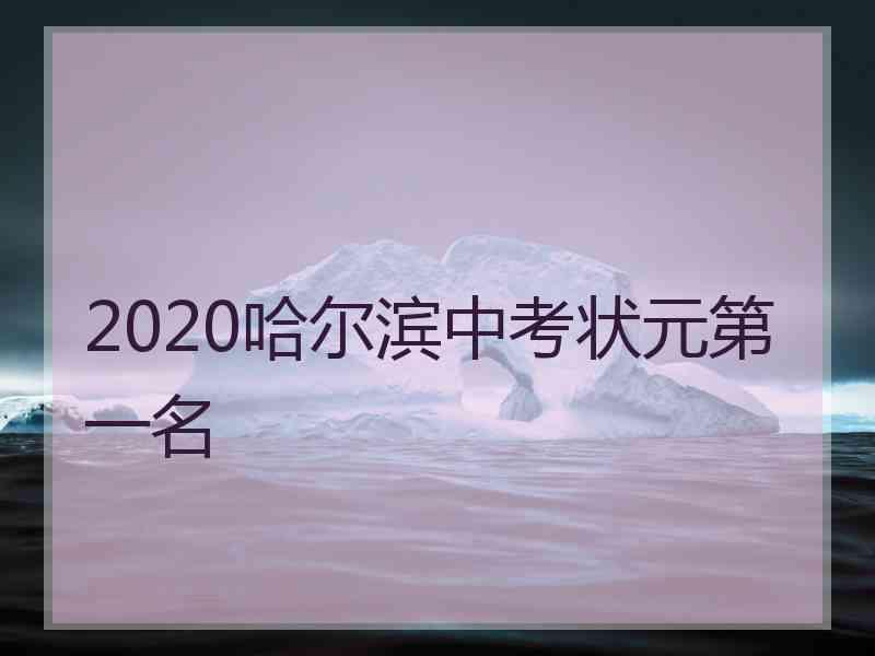 2020哈尔滨中考状元第一名