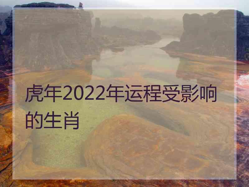 虎年2022年运程受影响的生肖