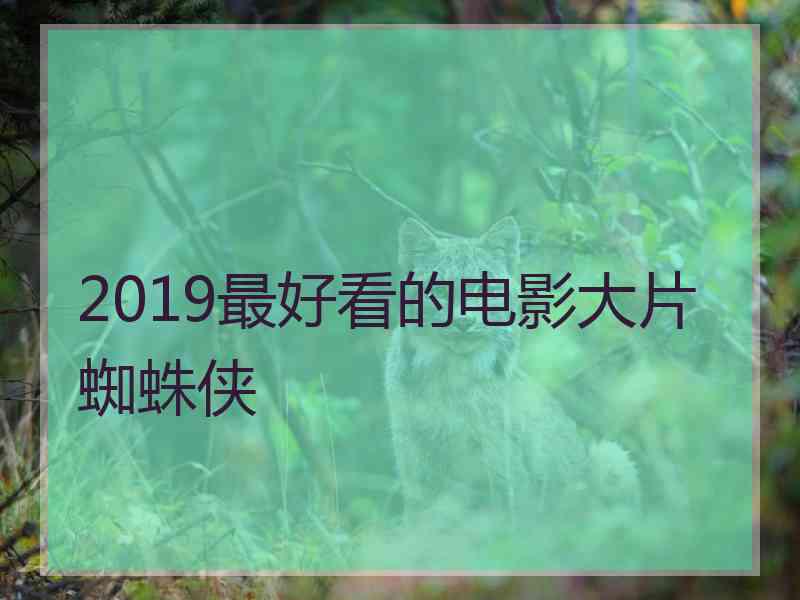 2019最好看的电影大片蜘蛛侠