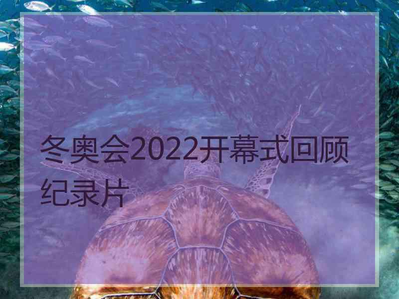 冬奥会2022开幕式回顾纪录片