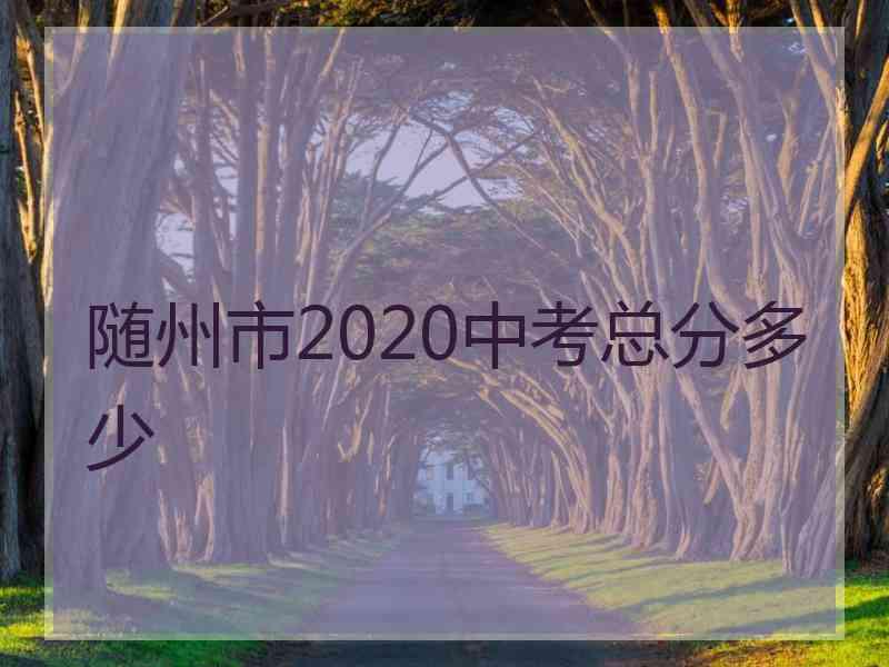 随州市2020中考总分多少