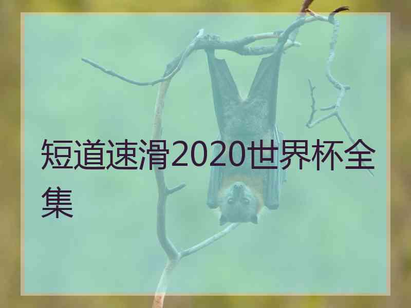 短道速滑2020世界杯全集