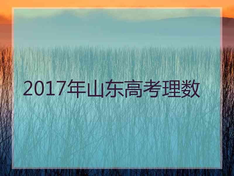 2017年山东高考理数