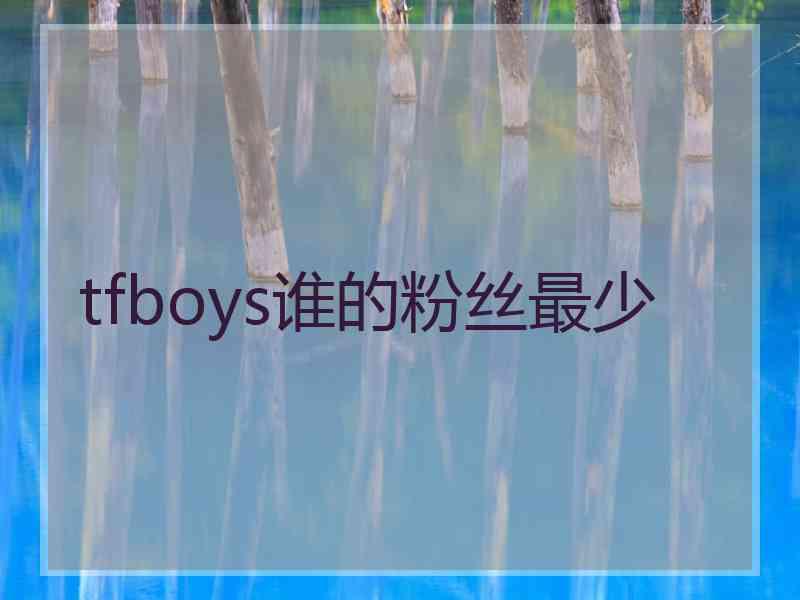 tfboys谁的粉丝最少