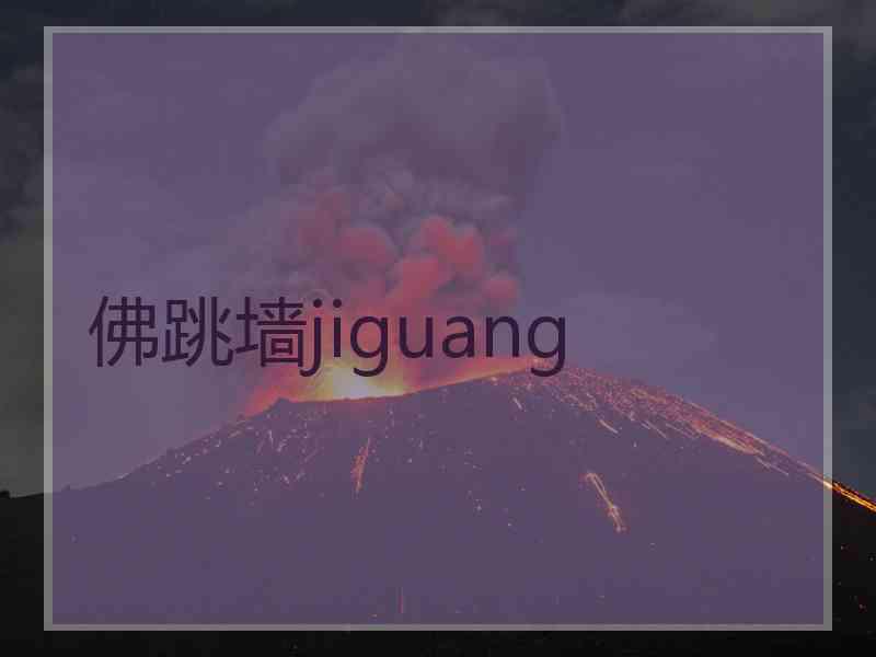 佛跳墙jiguang