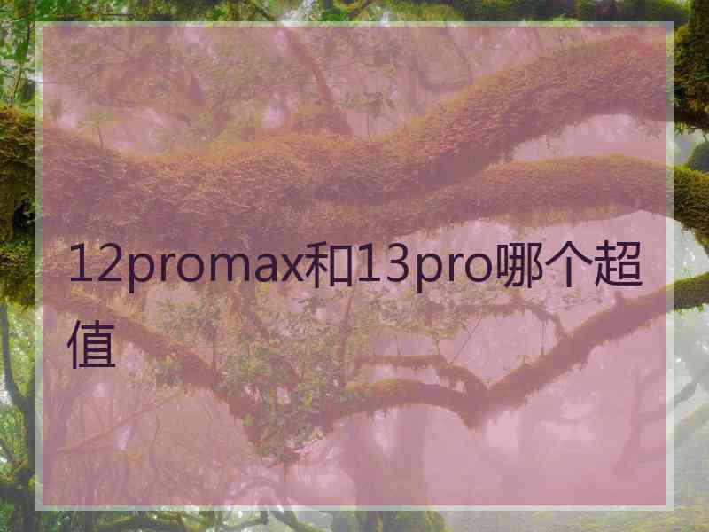 12promax和13pro哪个超值