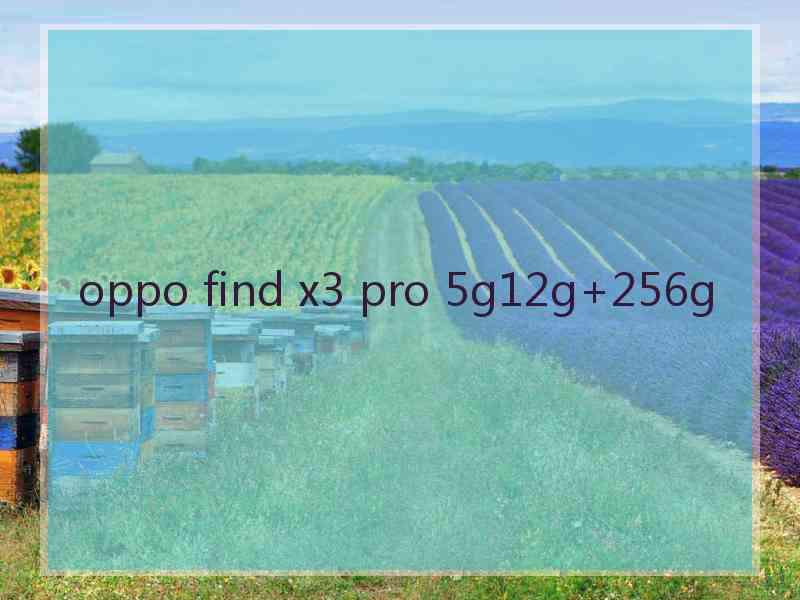 oppo find x3 pro 5g12g+256g