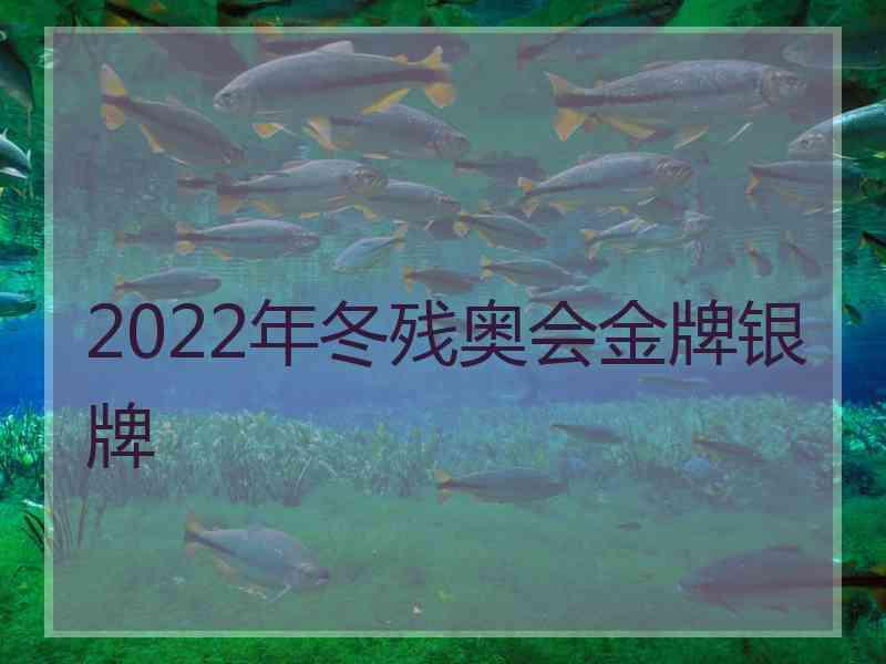 2022年冬残奥会金牌银牌