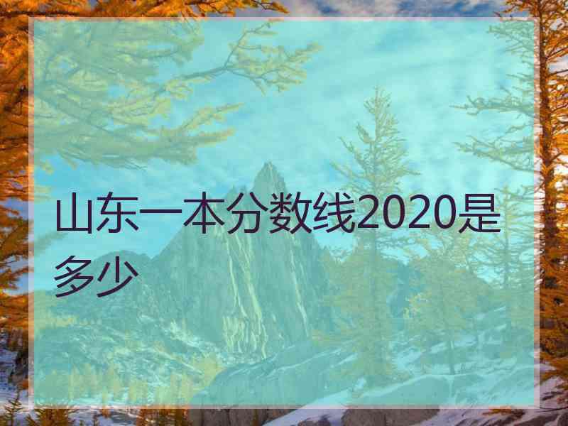 山东一本分数线2020是多少