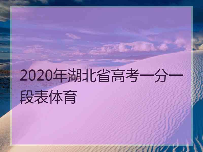 2020年湖北省高考一分一段表体育