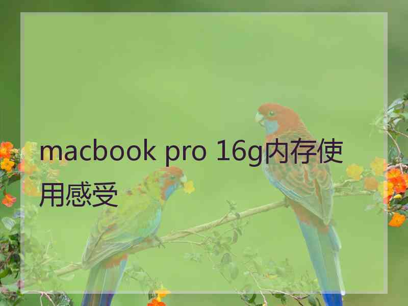 macbook pro 16g内存使用感受