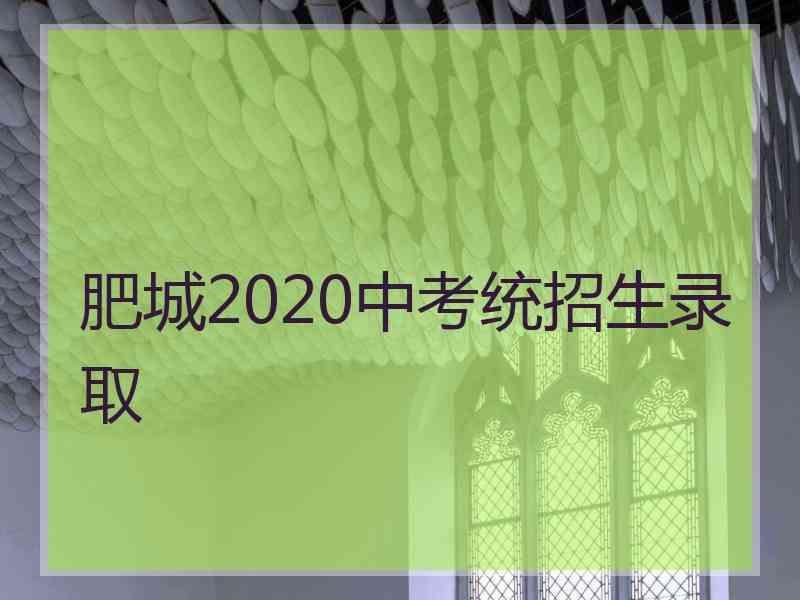 肥城2020中考统招生录取