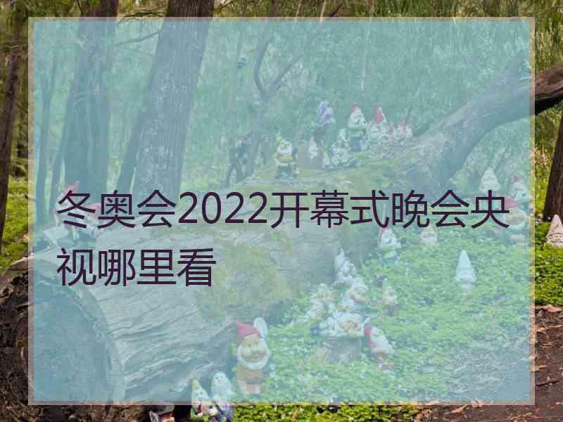 冬奥会2022开幕式晚会央视哪里看