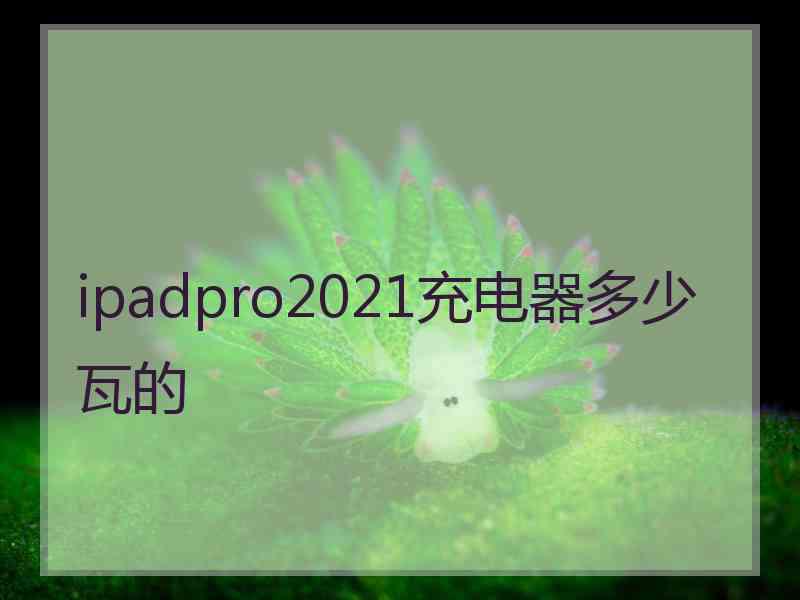 ipadpro2021充电器多少瓦的