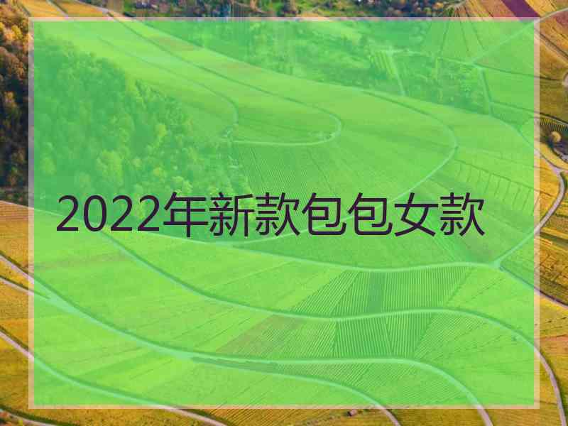 2022年新款包包女款