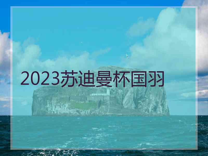 2023苏迪曼杯国羽