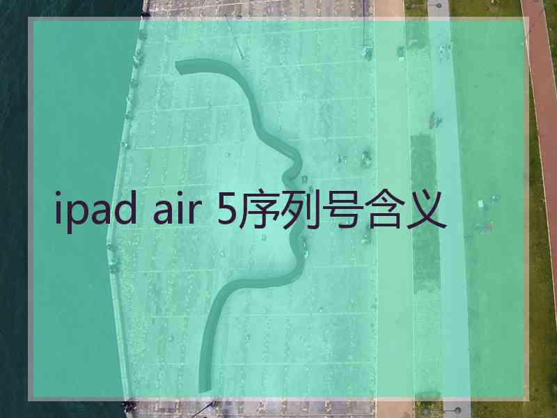 ipad air 5序列号含义