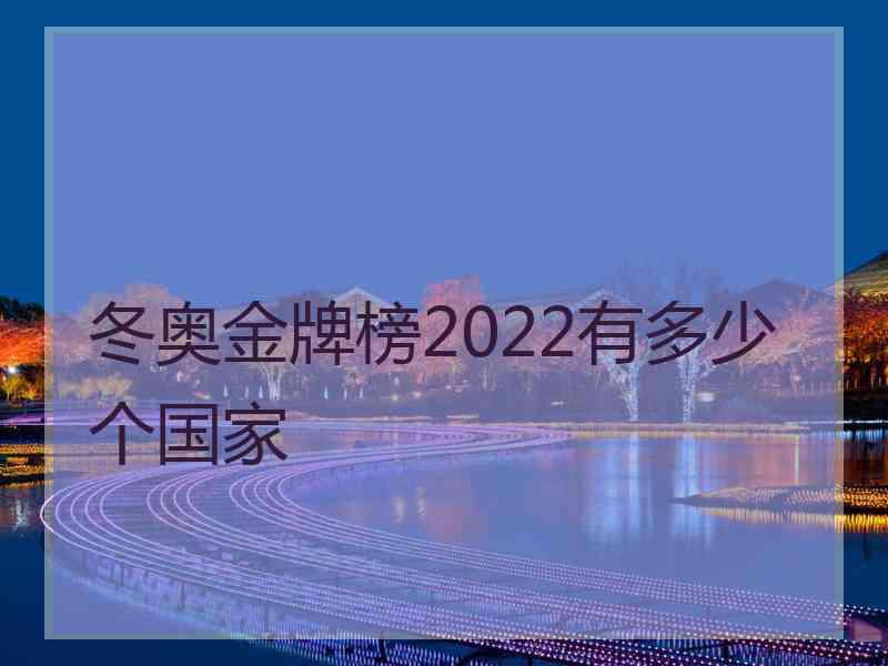 冬奥金牌榜2022有多少个国家