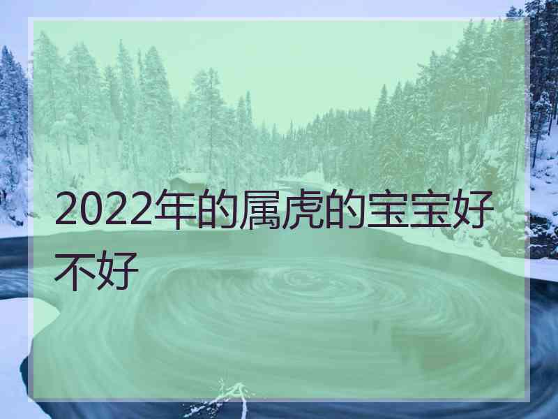 2022年的属虎的宝宝好不好