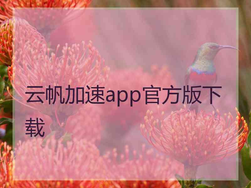 云帆加速app官方版下载