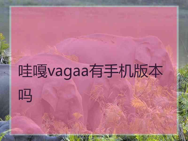 哇嘎vagaa有手机版本吗