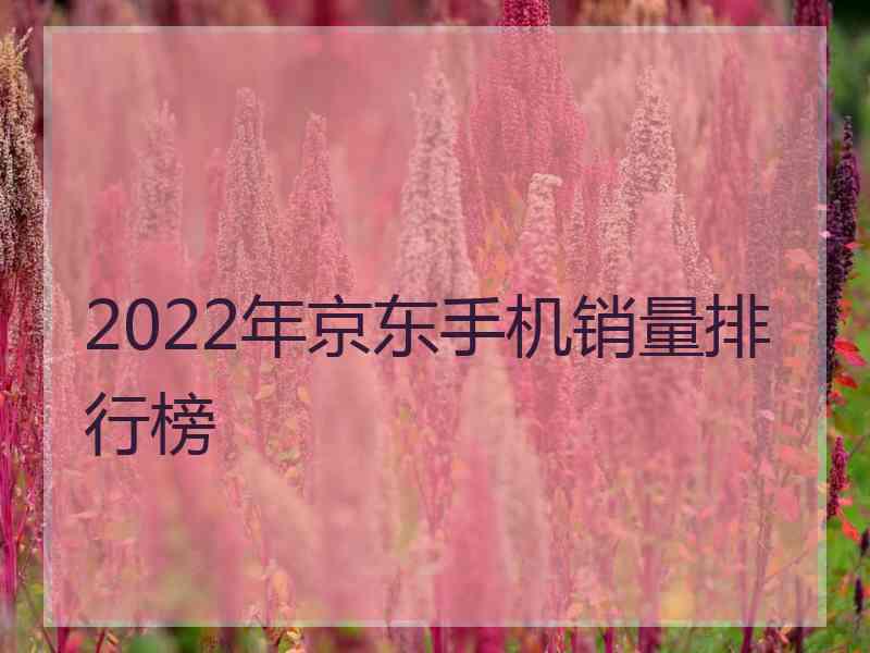 2022年京东手机销量排行榜
