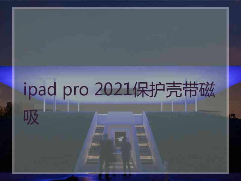 ipad pro 2021保护壳带磁吸