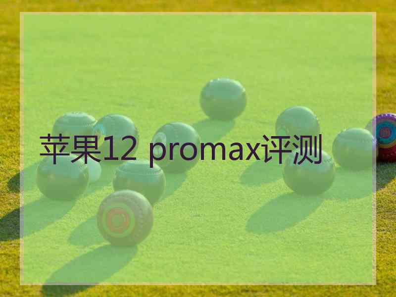 苹果12 promax评测