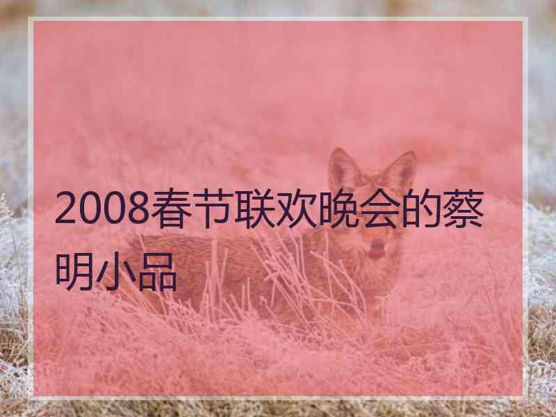 2008春节联欢晚会的蔡明小品