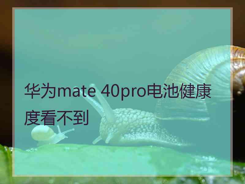 华为mate 40pro电池健康度看不到