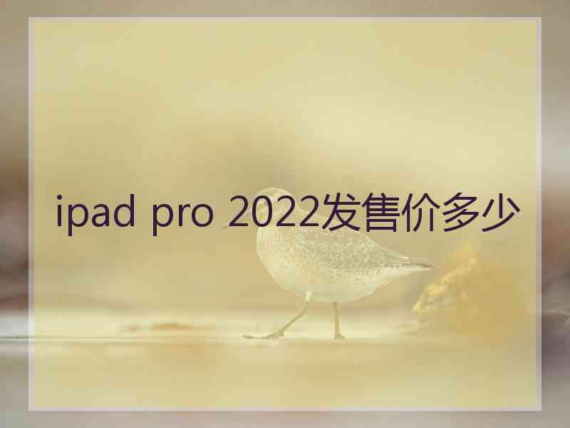 ipad pro 2022发售价多少